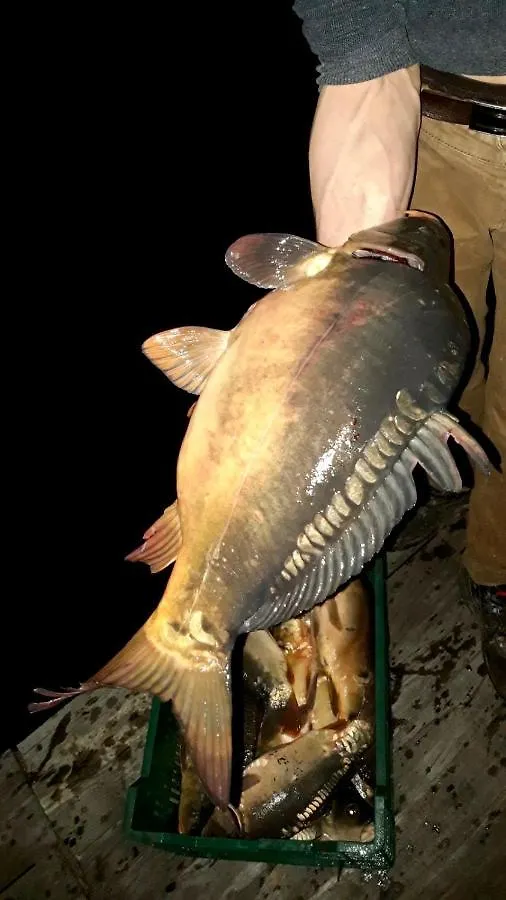 Lantställe Fishka Осокорки Pensionat Kiev