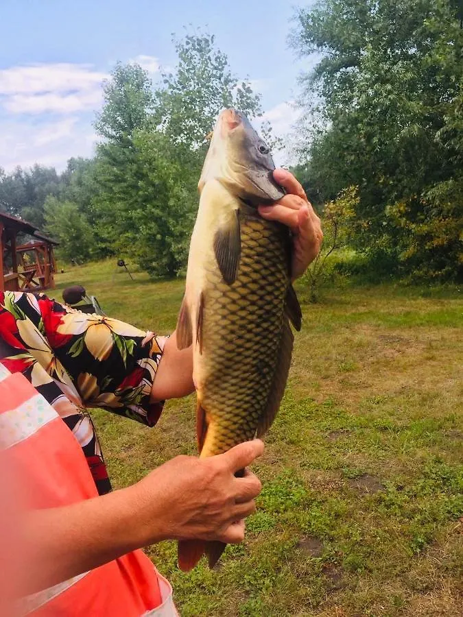 키예프 Fishka Осокорки 게스트하우스